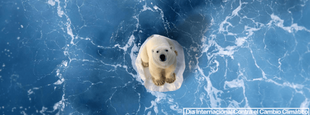 El cambio climático